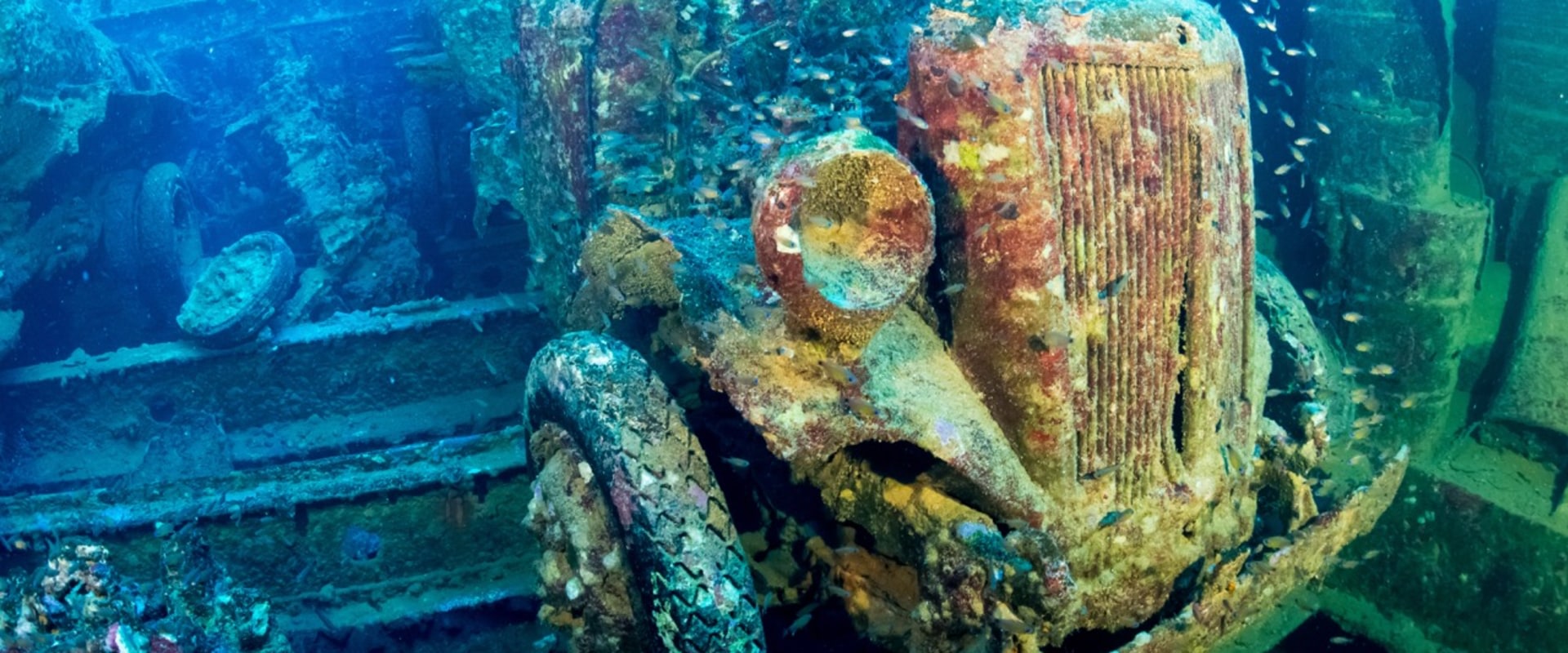 Exploring the Depths of Wreck Diving: A Comprehensive Guide