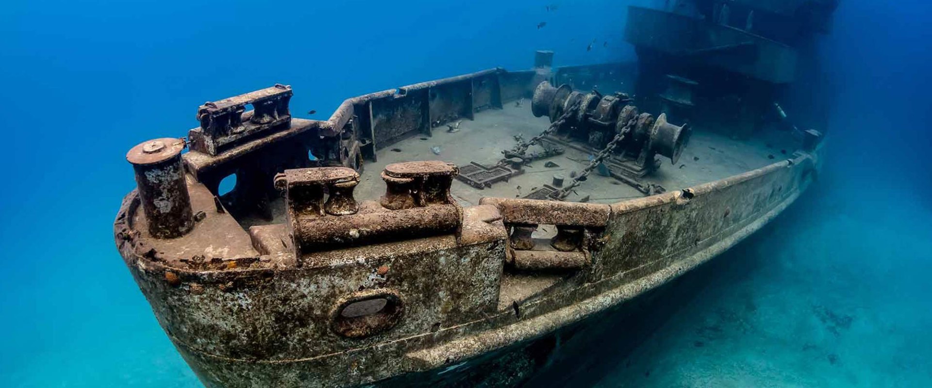 What to Expect When Diving Shipwrecks
