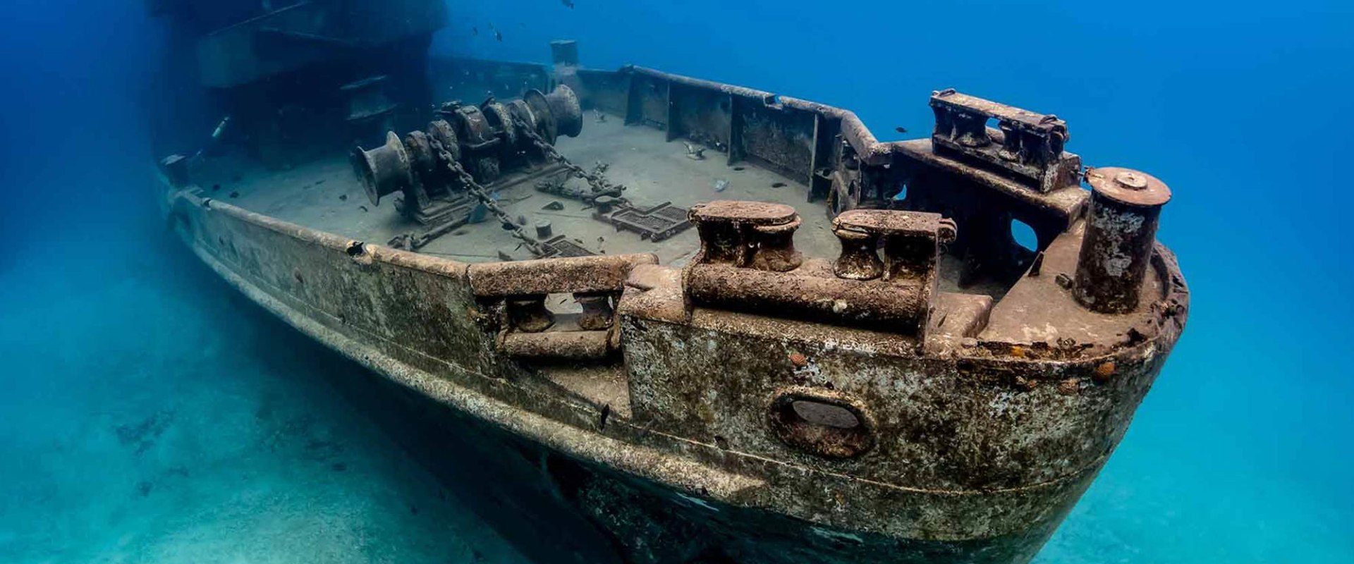 Exploring the Depths of Shipwrecks: A Guide to the Best Diving Sites