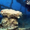Exploring the Depths: The Best Wreck Diving Sites Around the World
