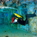 Exploring the Dangers of Diving Shipwrecks