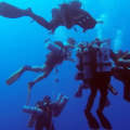 Exploring the Depths: A Look at the World Record for Deep Diving