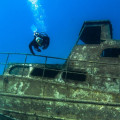 Exploring the Depths of Aruba's Fascinating Shipwrecks